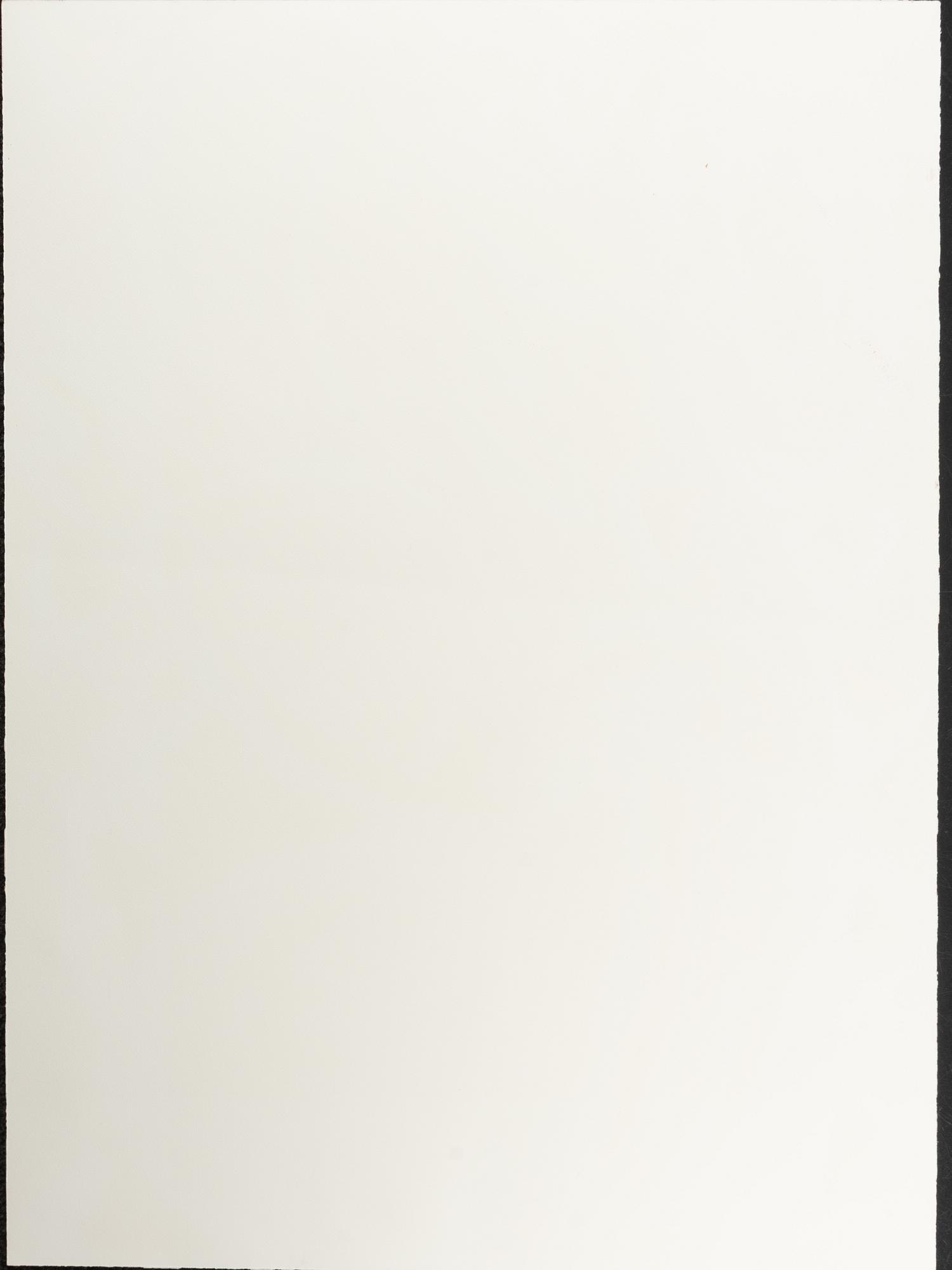 Katherine Bernhardt, "Merengue".