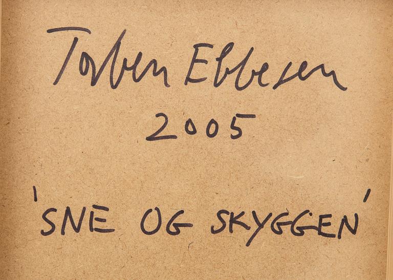 Torben Ebbesen, "Snow and the Shadow".