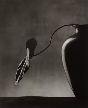 128. Christian Coigny, "Vase Noir", 1988.
