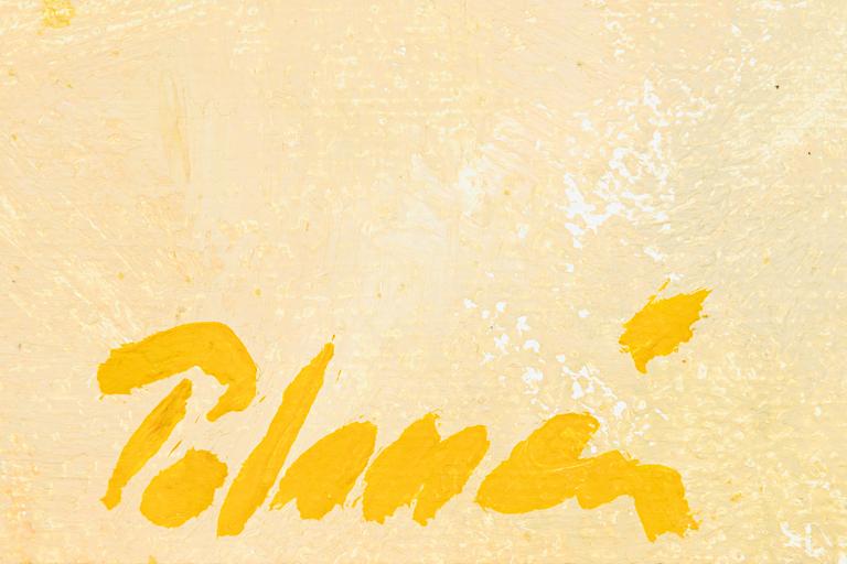 Anders Palmér, Det vitputsade huset.