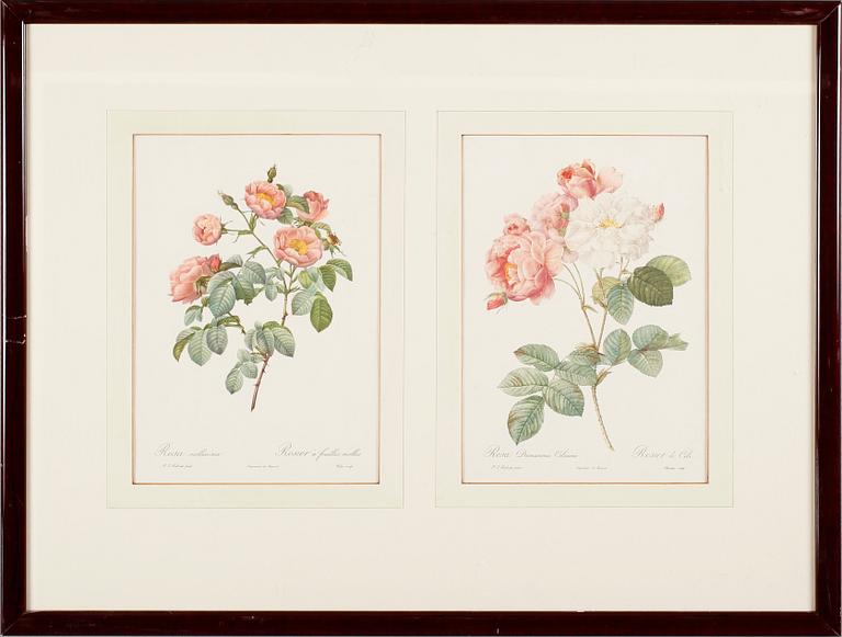 TAVLOR, 6 st, tryck, 1900-talets andra hälft.