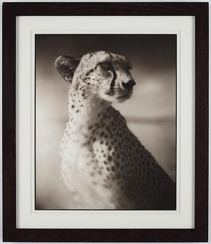 Nick Brandt, "Portrait of Cheetah Against Dark Sky, Masai Mara, 2004".