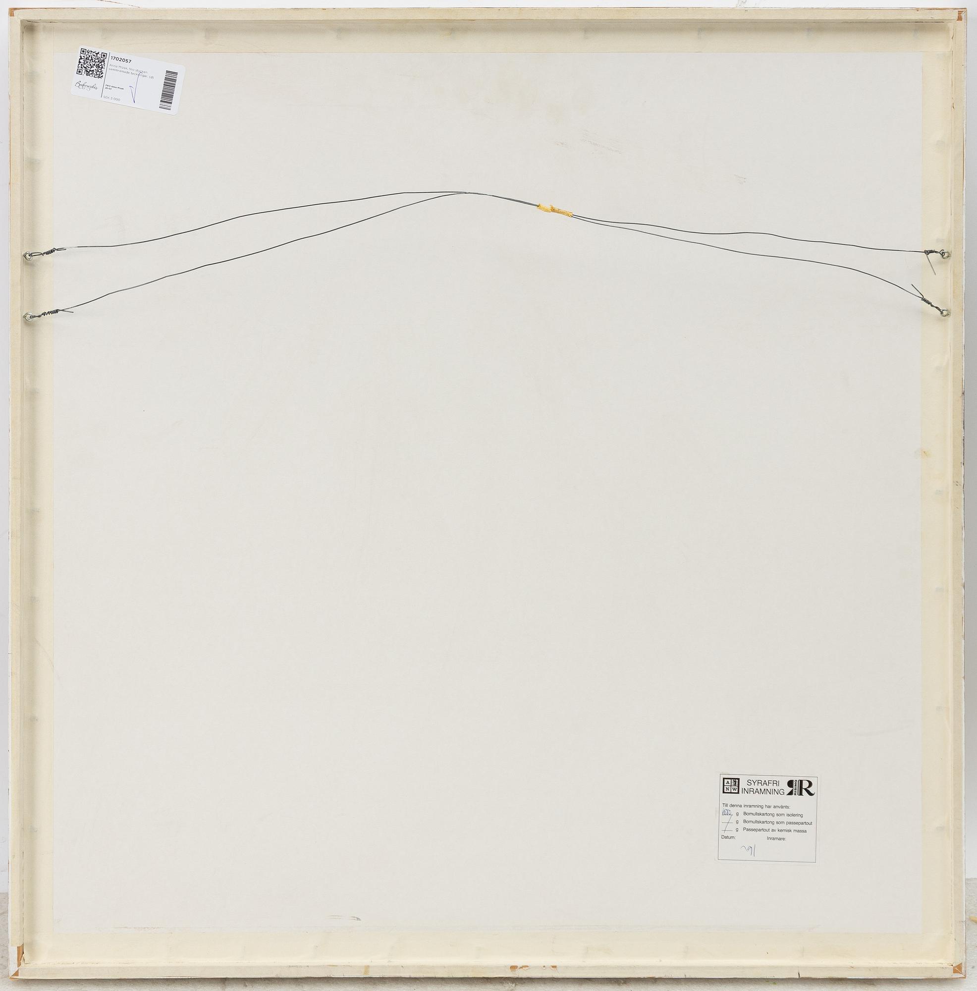 Anna Mizak, Utan titel.