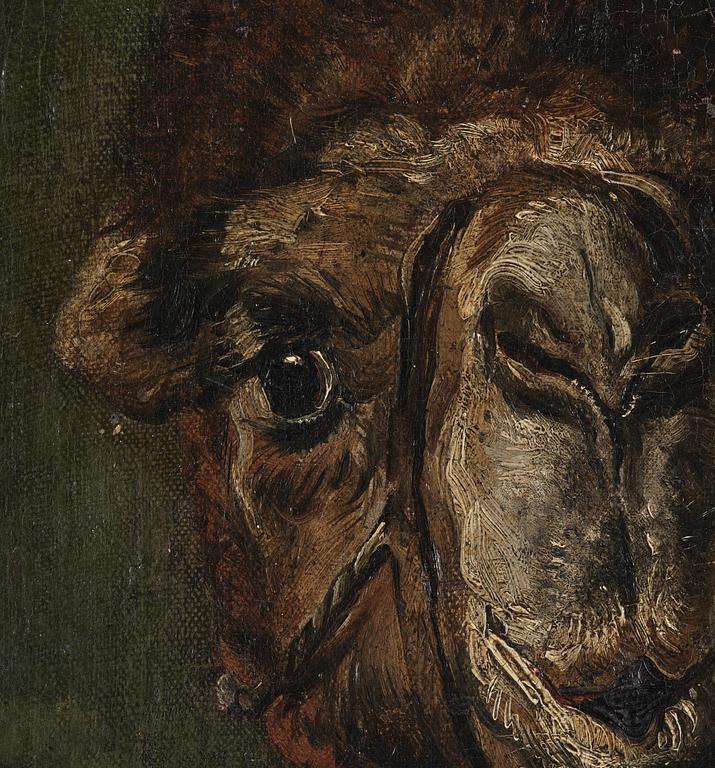 Jean-Louis-André-Théodore Géricault, circle of, Camel Head.