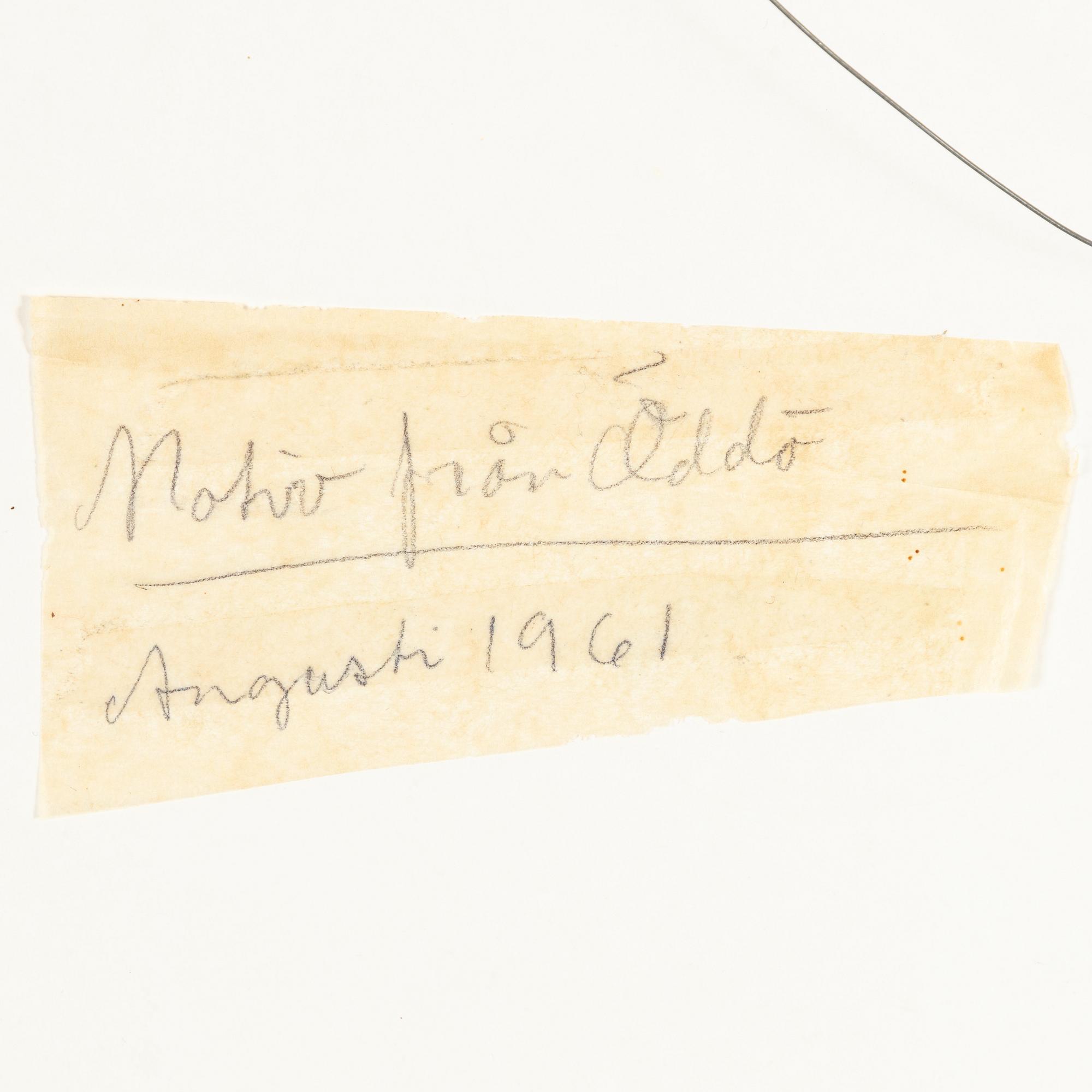 Inge Schiöler, "Motiv från Öddö" (Augusti 1961).