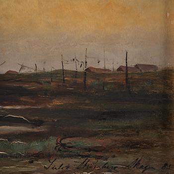 Julia Strömberg, Motif from Skagen.
