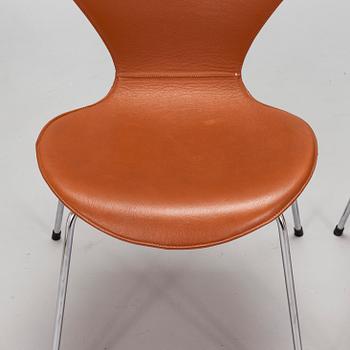 Arne Jacobsen, stolar, 6 st, "Sjuan", Fritz Hansen, Denmark.