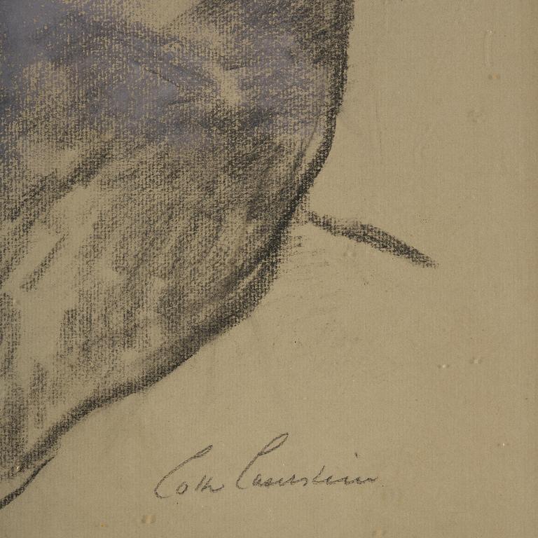 Lotte Laserstein, Seated girl with a shawl.