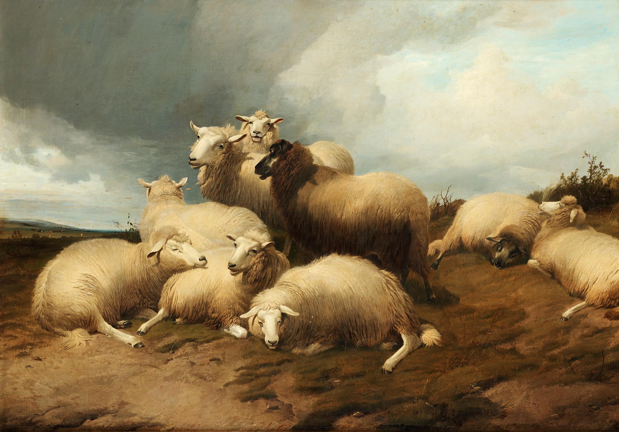 Thomas Sidney Cooper, "A passing shower - sheep in the meadows".