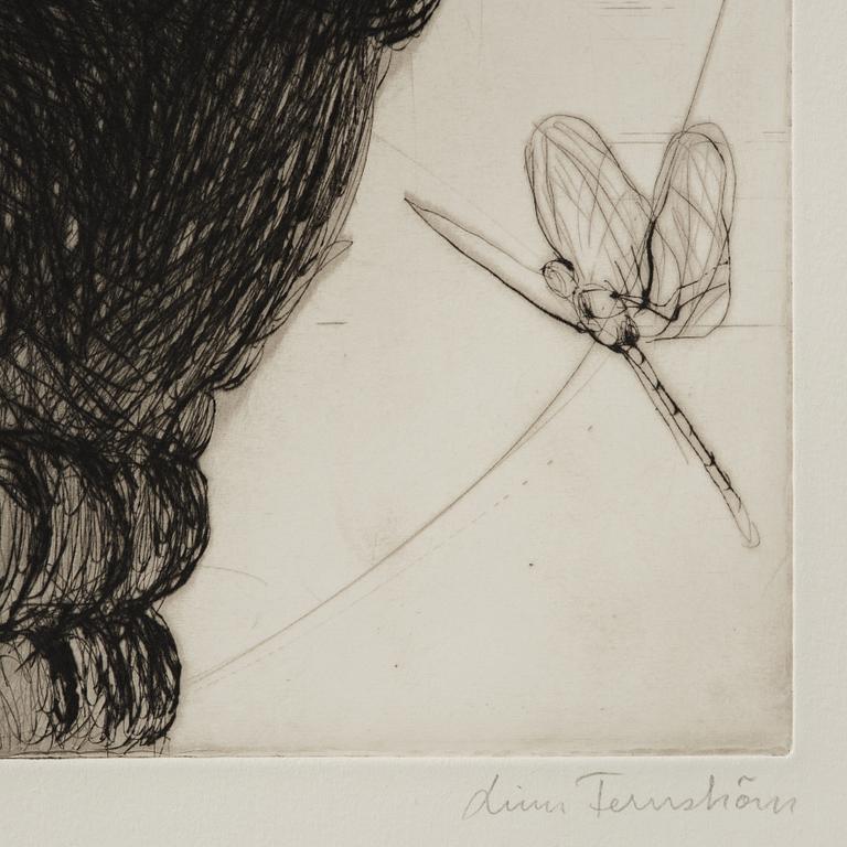 Linn Fernström, "Blicken".