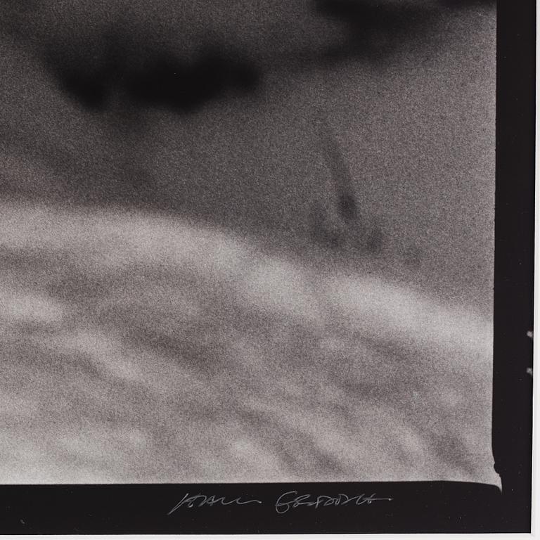 Hans Gedda, "Wolves", 2002.