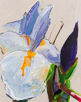 Tapani Mikkonen, "Iiris".