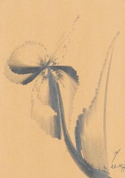 Aleksandra Ionowa, Sielunkukkia.