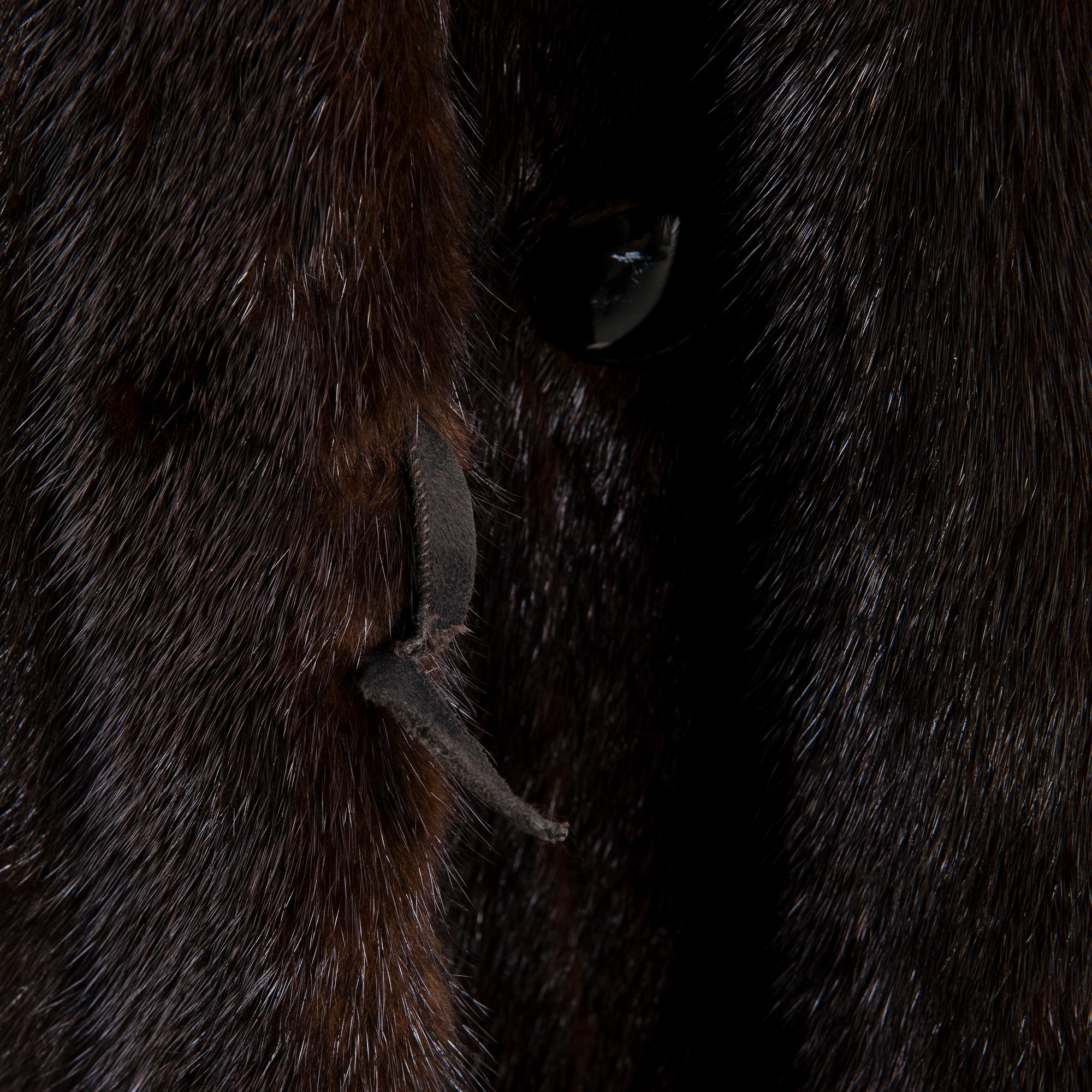 MINKKITURKKI, Saga Mink.