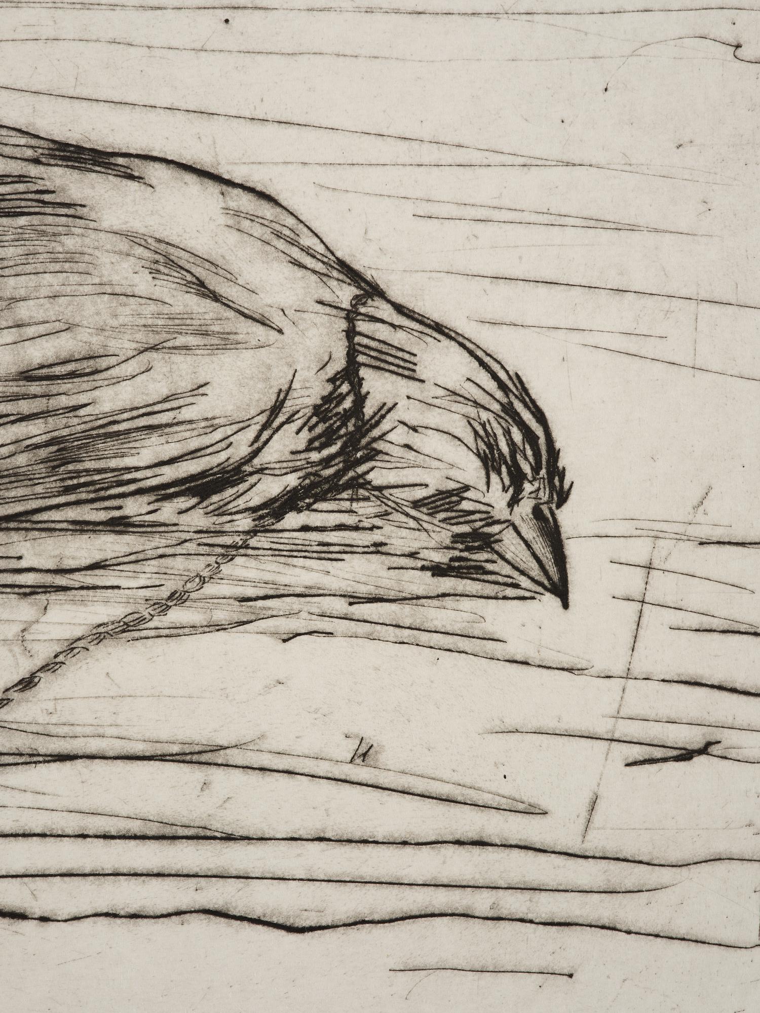 Hans Wigert, Dead Bird.