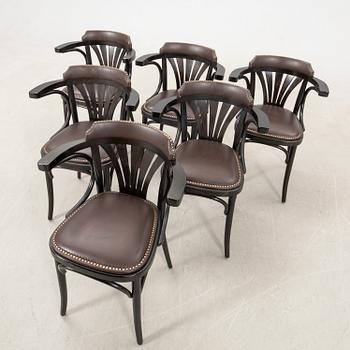 Armchairs 6 pcs model no 24, Thonet 21st century.