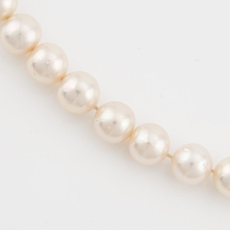 A necklace of cultured pearls without a clasp.