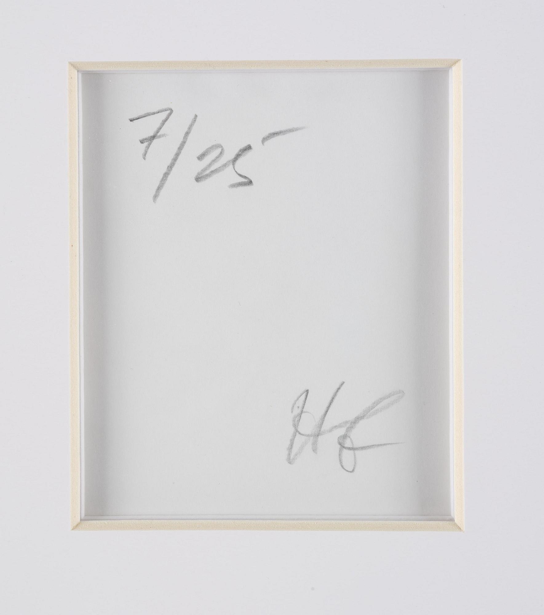 Hans Gedda, "Carl XVI Gustaf", 2010.