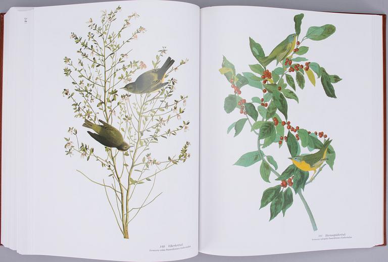 BOK, "Linnut", John James Audubon, numrerad upplaga 1050/2000, Weilin + Göös, 1990.