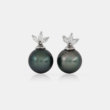 A pair of Tahiti pearl, Ø 12 mm, and diamond earrings.