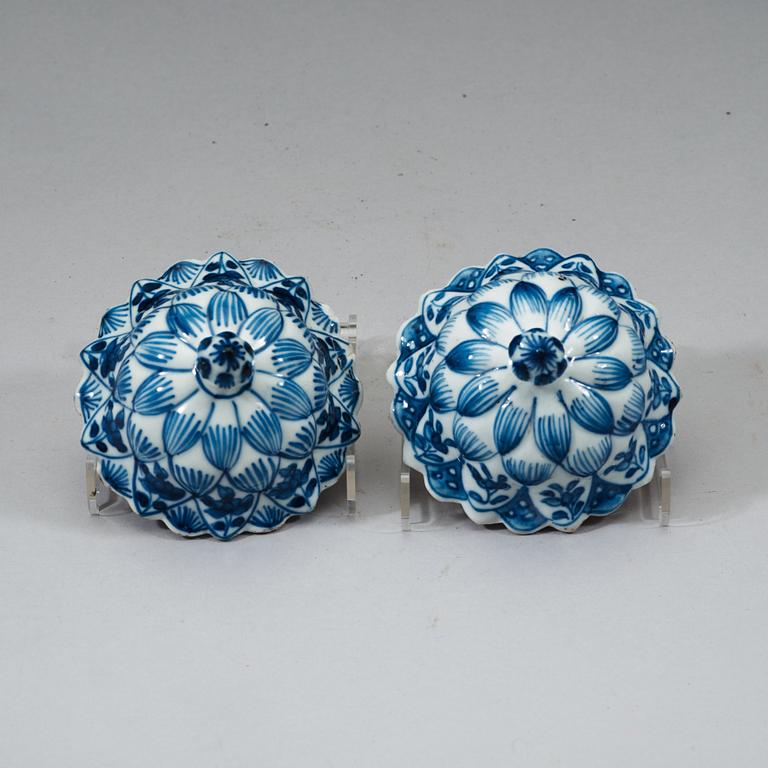 A pair of blue and white vases with cover, Qing dynasty, Kangxi period (1662-1722).