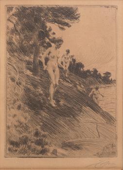 Anders Zorn, a signed etching from 1912.