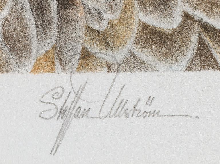 STAFFAN ULLSTRÖM, färglitografi, signerad, numrerad 10/75.