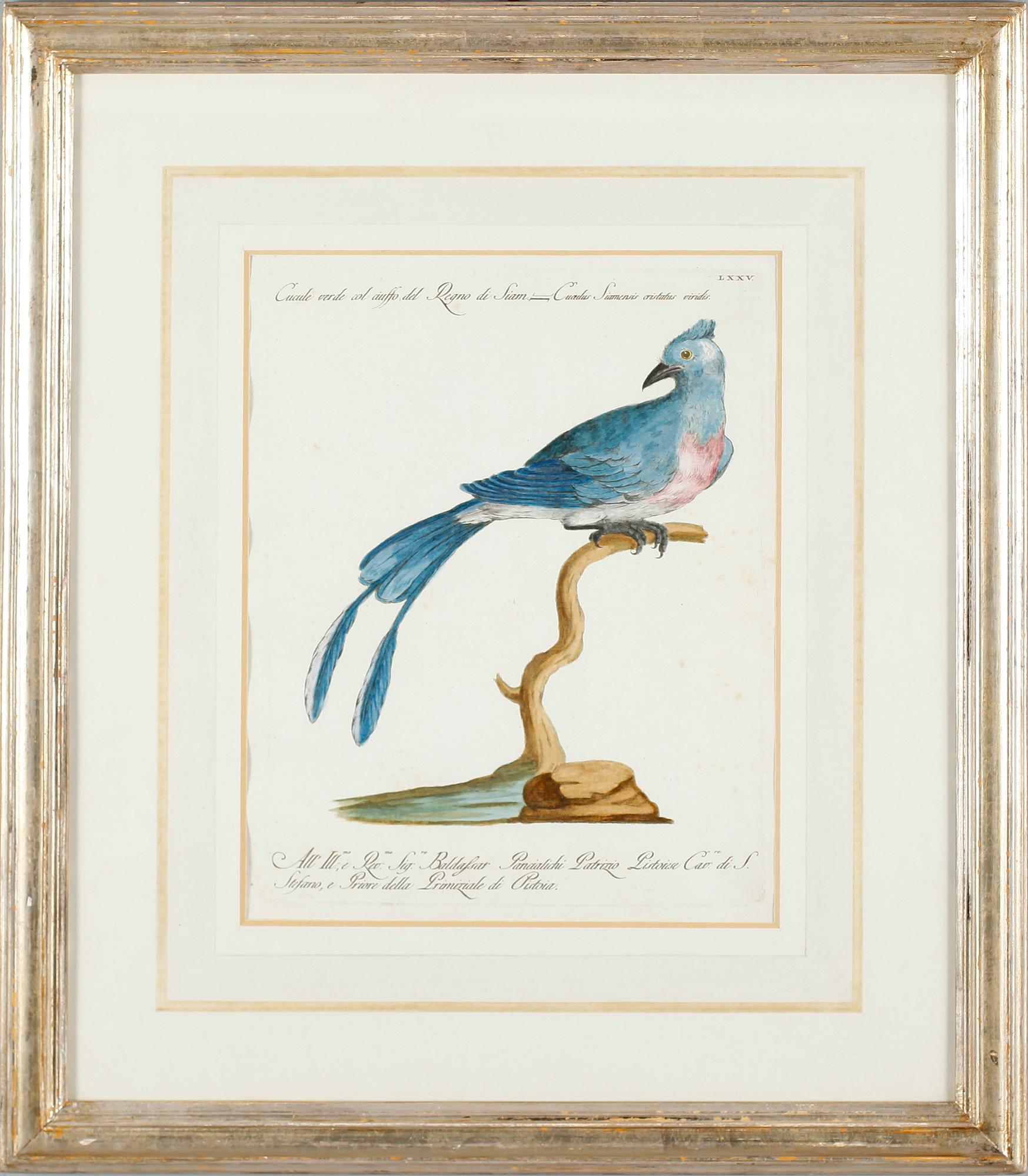 GRAVYR, efter Xaviero Manetti, kolorerad, 1700-tal.