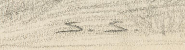 Santeri Salokivi, Vy från Högsåra.