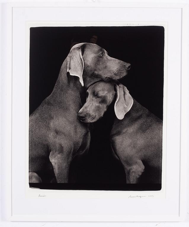 William Wegman, "Friends".