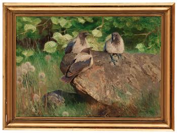 906. Bruno Liljefors, Crows.