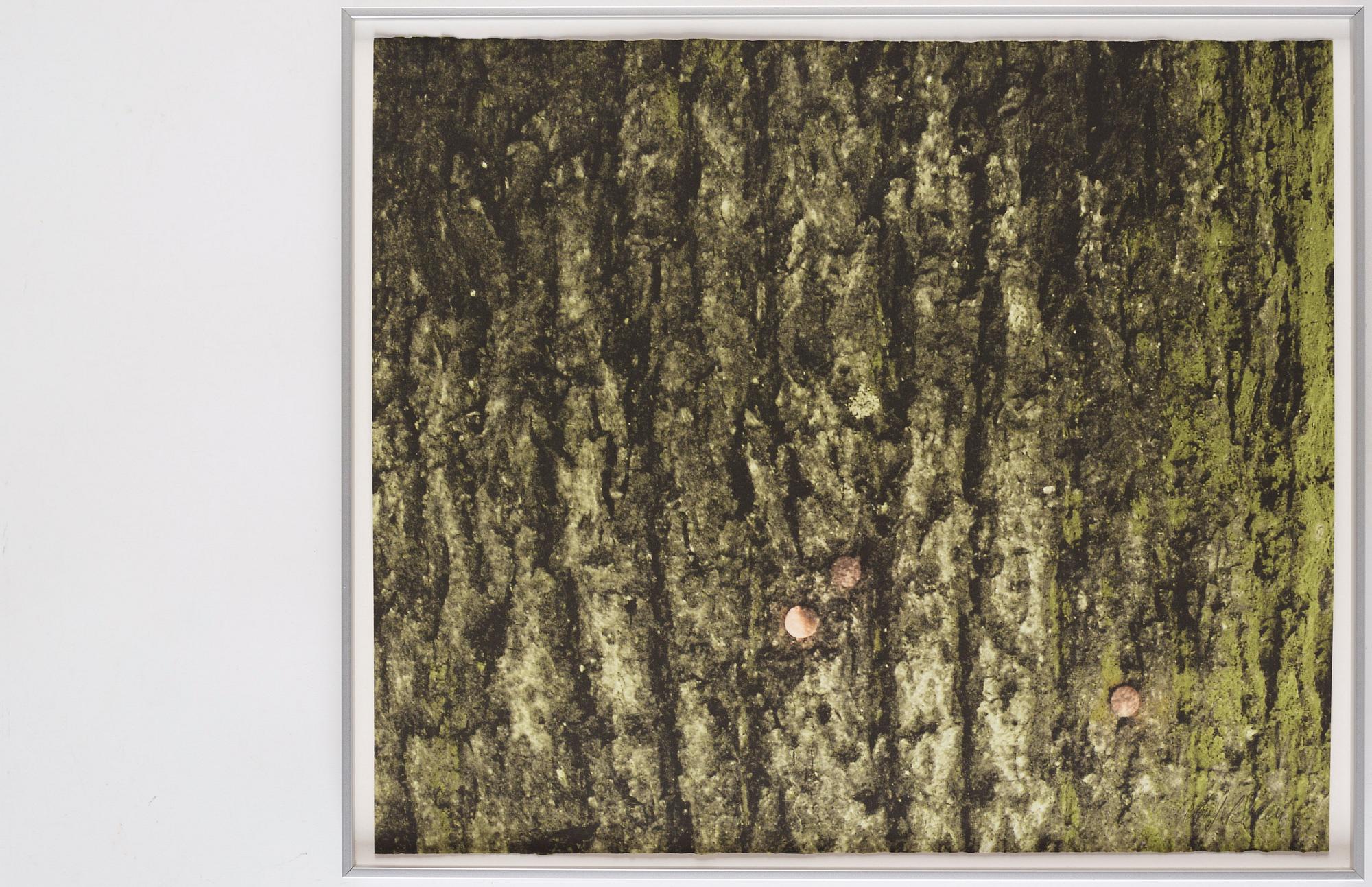 Ann-Sofi Sidén, "After the Fact (Bench)", 2007.