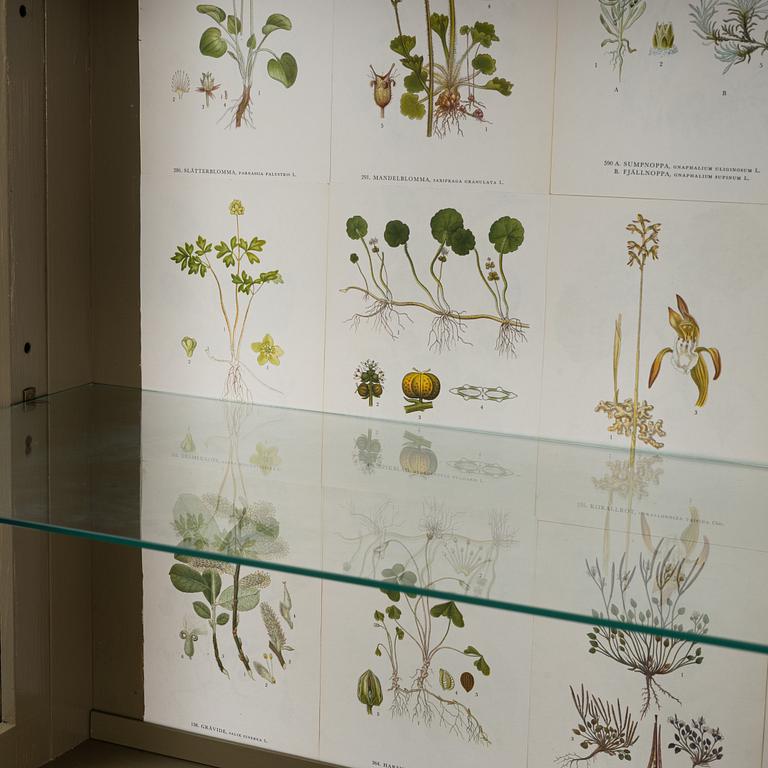 Vitrinskåp, 1900-talets mitt.