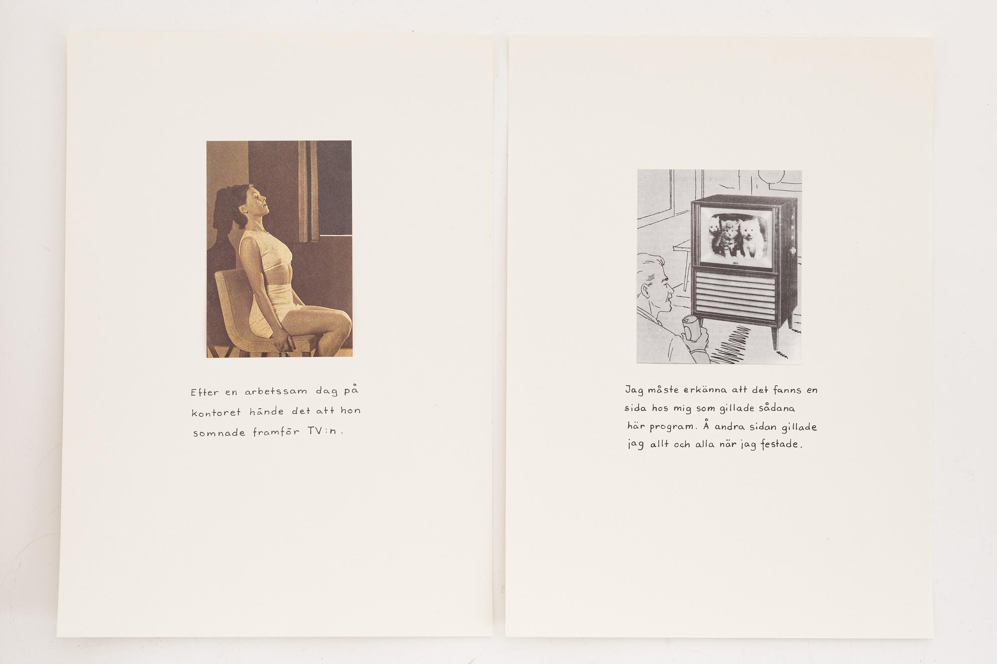 Jan Stenmark, portfolio signerad numrerad 206/500 med 16 grafiska blad.