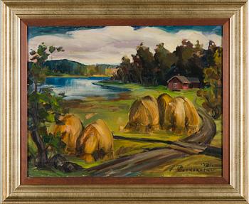 Jalmari Ruokokoski, Vy från landsbygden.