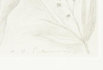 Karl Axel Pehrson, Flower Sketches.