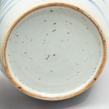 Two blue and white porcelain ginger jars, Qing dynasty, China, 19th century.