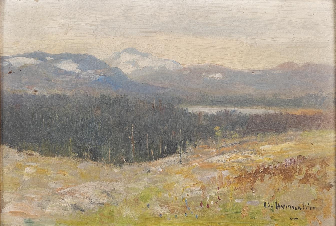 Olof Hermelin, Mountain landscape.