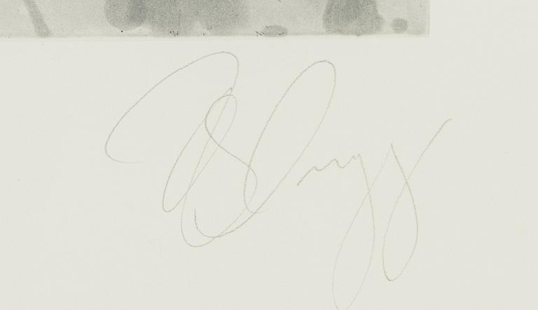 Tony Cragg, Composition.