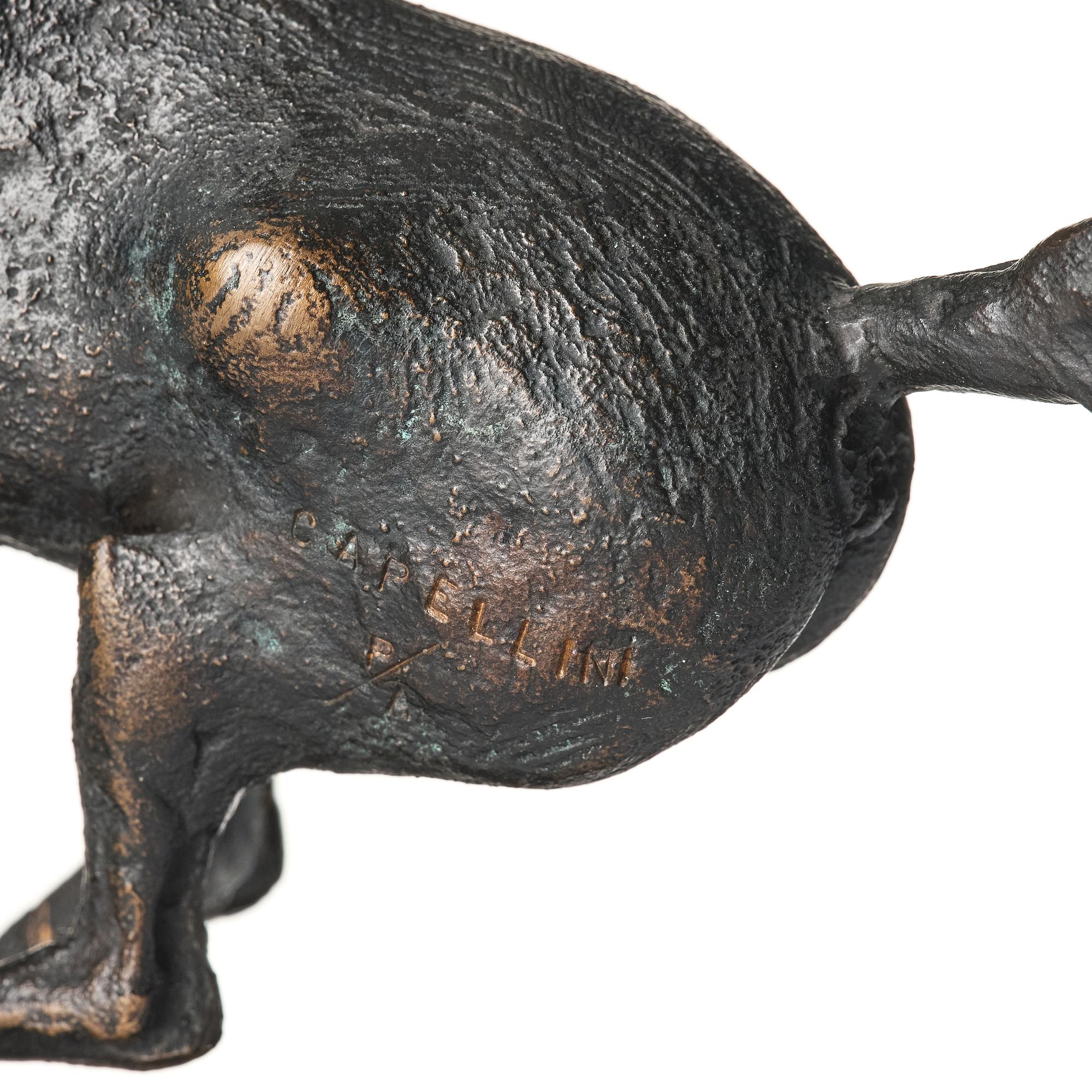 Sergio Capellini, stegrande häst.