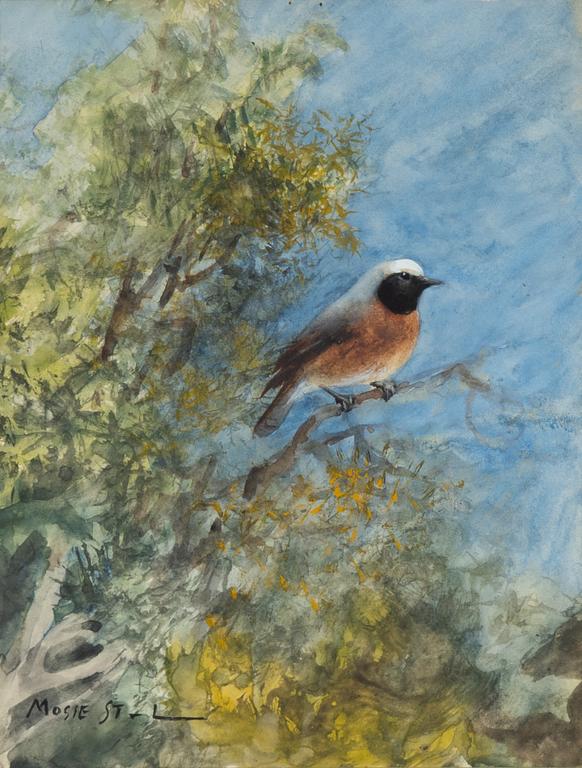 Mosse Stoopendaal, akvarell, signerad.