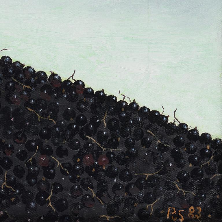 Philip von Schantz, Black currant.