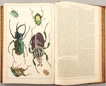 OLIVER GOLDSMITH 'A History of The Earth and Animated Nature' I-II, hand colored plates, c 1870.