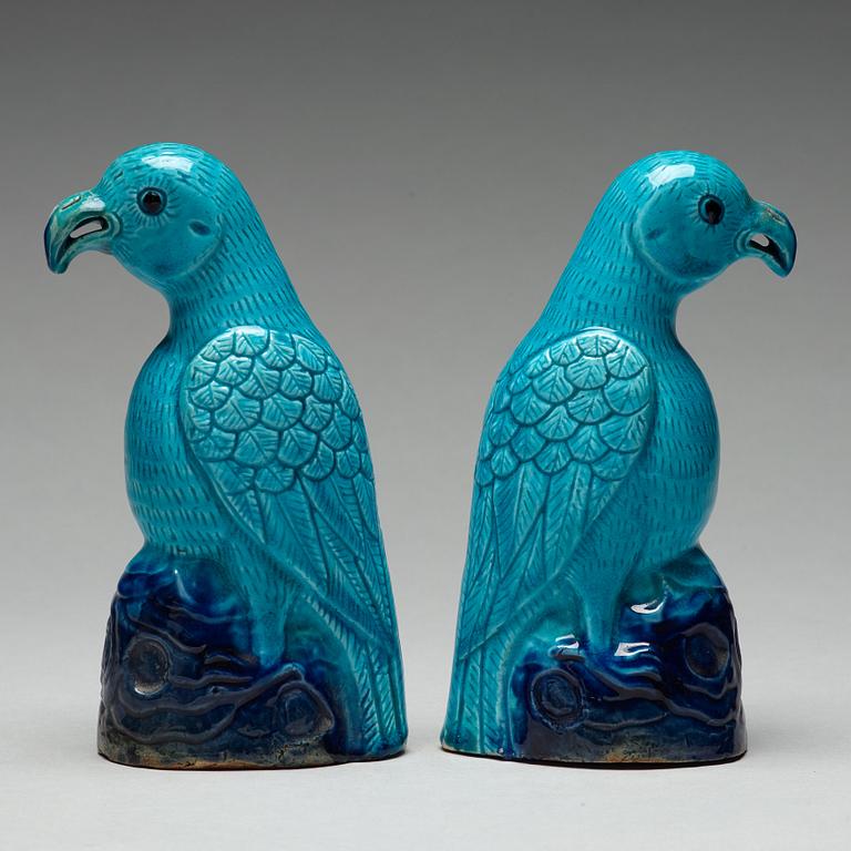 A pair of turquoise and aubergine glazed parrots, Qing dynasty, 19th Century.