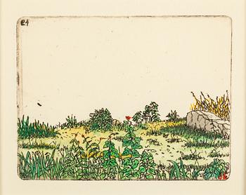 STEN EKLUND, hand colored etching signerad SE.