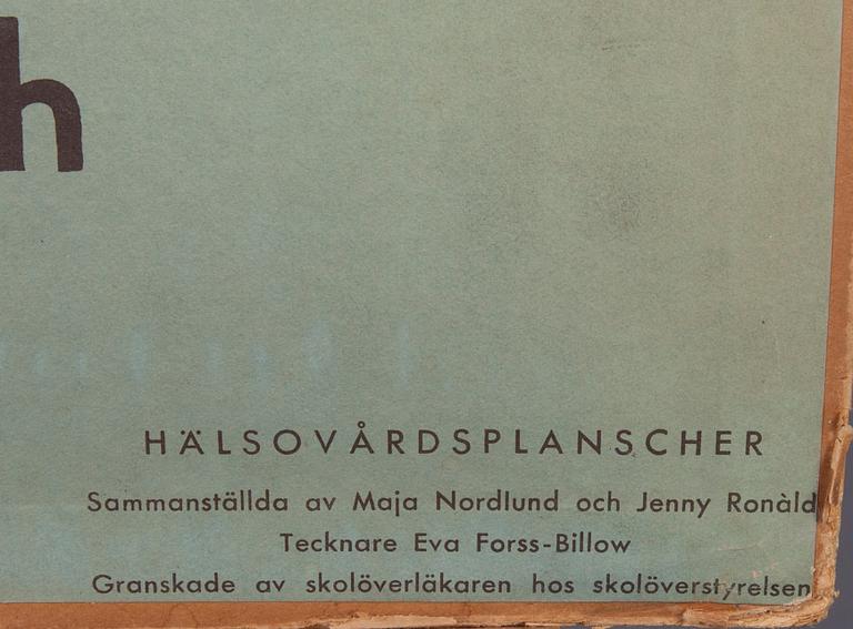 SKOLPLANSCH, efter Eva Forss-Billow, 1900-talets mitt.