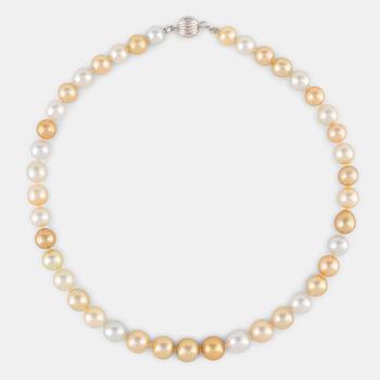 A cultured South Sea pearl necklace with a clasp in 18K white gold.