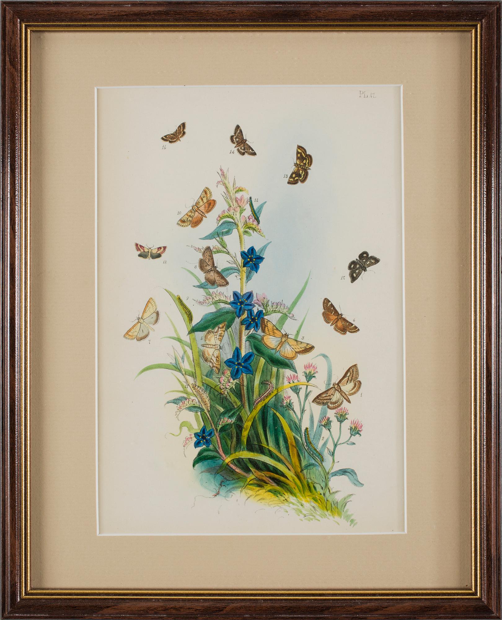 HANDKOLORERADE LITOGRAFIER, 6 st, Humphries, England, 1800-talets mitt.