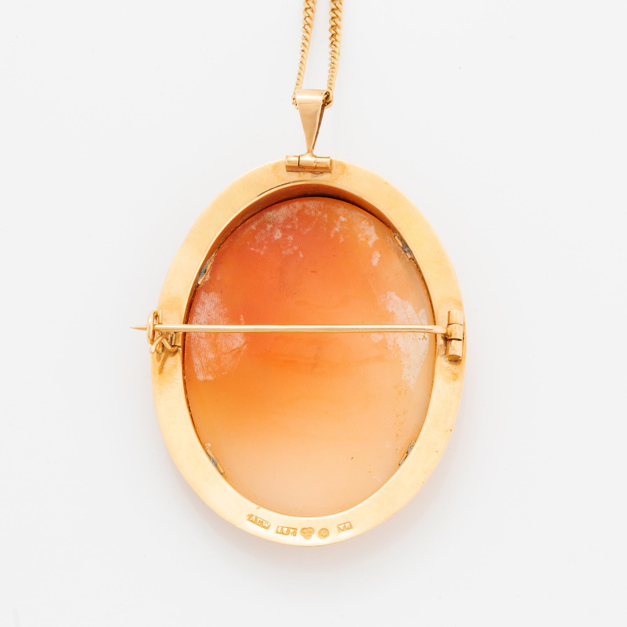 Hänge/brosch snäckalscamé med kedja 18K guld.