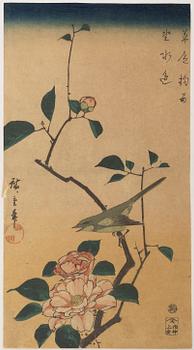 "Tsubaki ni uguisu" (Camellia and Bushe Wabler), efter.